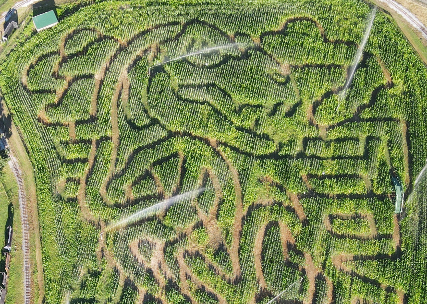 Home Maize Adventure
