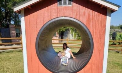 Barnyard Twister Barnyard Twister
