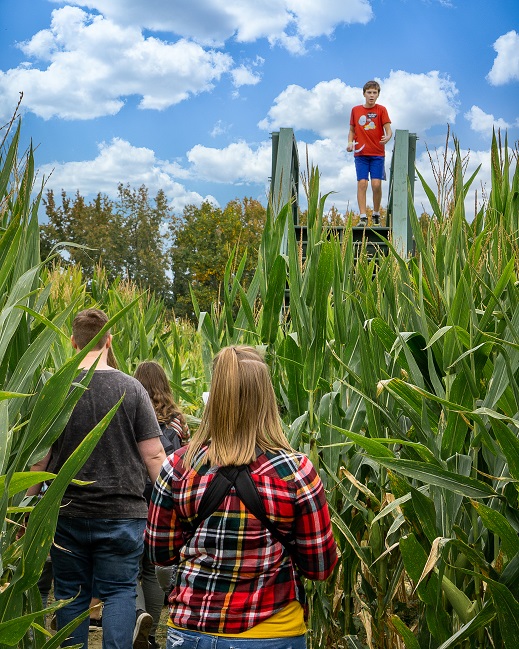 Corn maze rules