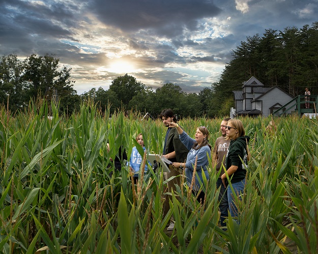 How to survive a corn maze-3