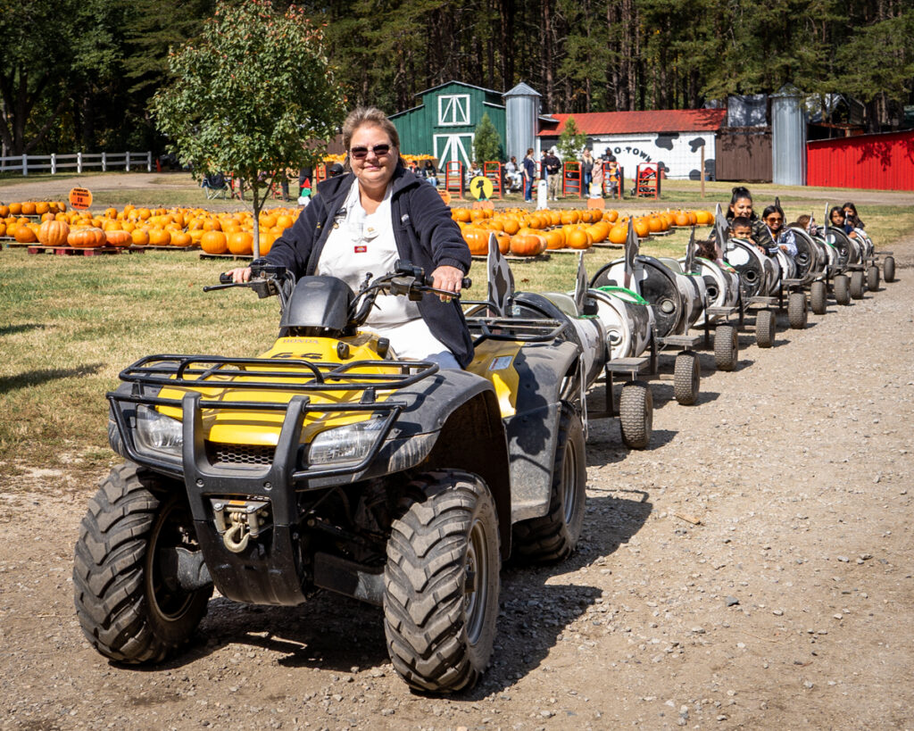 Corn Maze pumpkins cow train