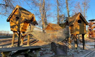 Tree Houses